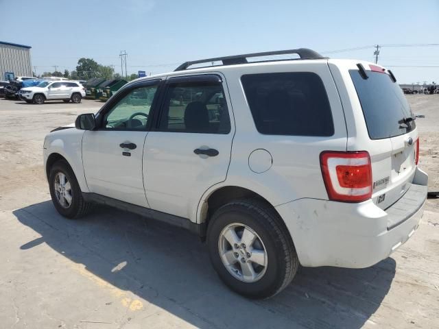 2011 Ford Escape XLT