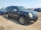 2008 Cadillac Escalade