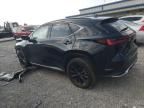 2022 Lexus NX 350