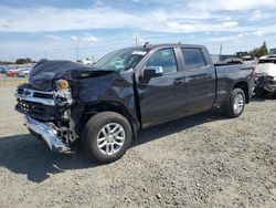 Salvage cars for sale at Eugene, OR auction: 2024 Chevrolet Silverado K1500 LT