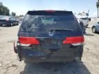 2009 Honda Odyssey EXL