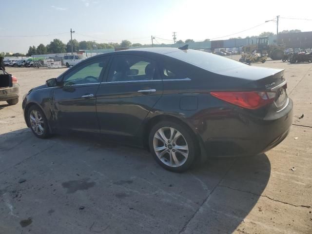 2011 Hyundai Sonata SE