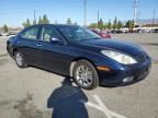 2002 Lexus ES 300