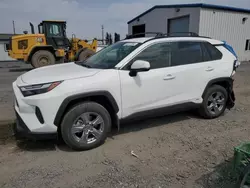 Toyota Vehiculos salvage en venta: 2024 Toyota Rav4 LE