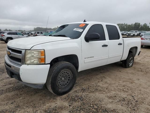 2010 Chevrolet Silverado C1500  LS