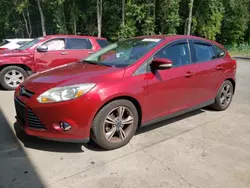 Ford salvage cars for sale: 2014 Ford Focus SE