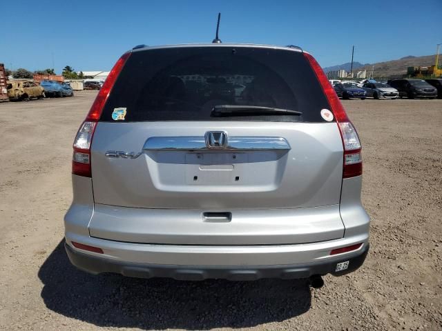 2010 Honda CR-V EXL