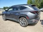 2023 Hyundai Tucson Luxury