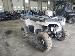 Salvage motorcycles for sale at Ham Lake, MN auction: 2023 Polaris XC 500