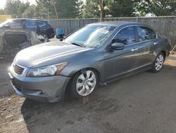 Honda salvage cars for sale: 2009 Honda Accord EXL