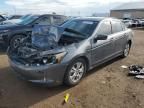 2010 Honda Accord LXP