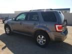 2010 Ford Escape Limited