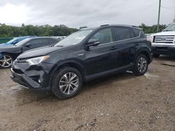 Salvage cars for sale at Apopka, FL auction: 2016 Toyota Rav4 HV XLE