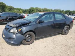 Toyota Corolla Base salvage cars for sale: 2010 Toyota Corolla Base