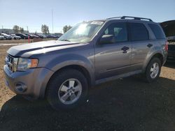 Salvage cars for sale at Rocky View County, AB auction: 2008 Ford Escape XLT