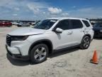 2025 Honda Pilot EXL