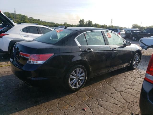 2011 Honda Accord EXL