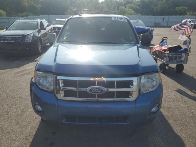 2009 Ford Escape XLT