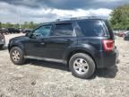 2010 Ford Escape Limited