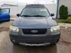 2006 Ford Escape XLT