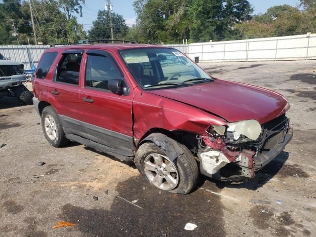 2005 Ford Escape XLT