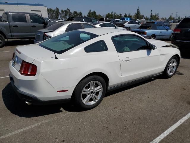 2010 Ford Mustang