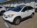 2008 Honda CR-V EX