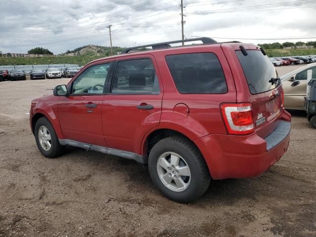 2010 Ford Escape XLT