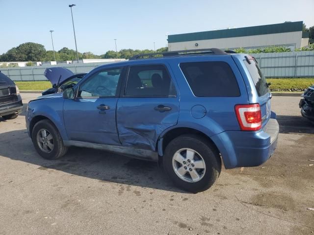 2009 Ford Escape XLT