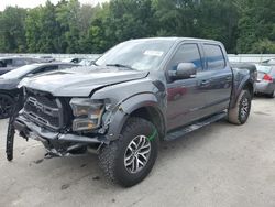 Salvage cars for sale at Glassboro, NJ auction: 2017 Ford F150 Raptor