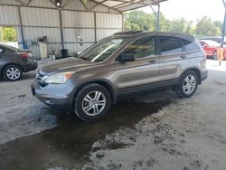 Honda salvage cars for sale: 2010 Honda CR-V EXL