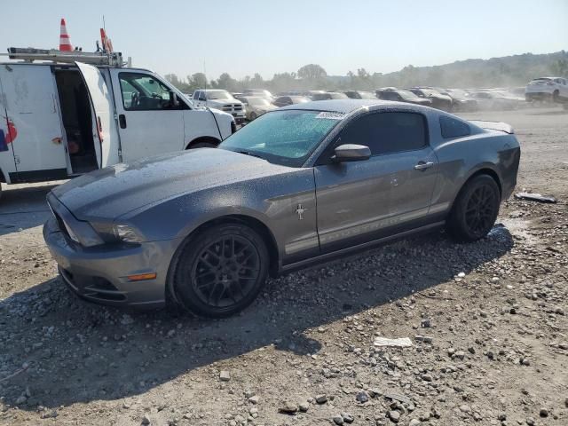 2013 Ford Mustang