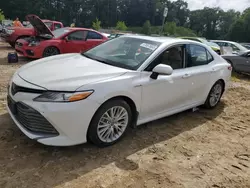 Toyota salvage cars for sale: 2019 Toyota Camry Hybrid