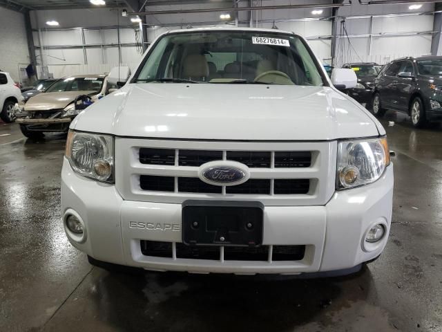 2008 Ford Escape Limited