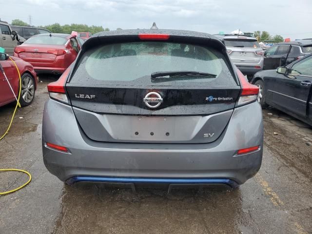 2020 Nissan Leaf SV