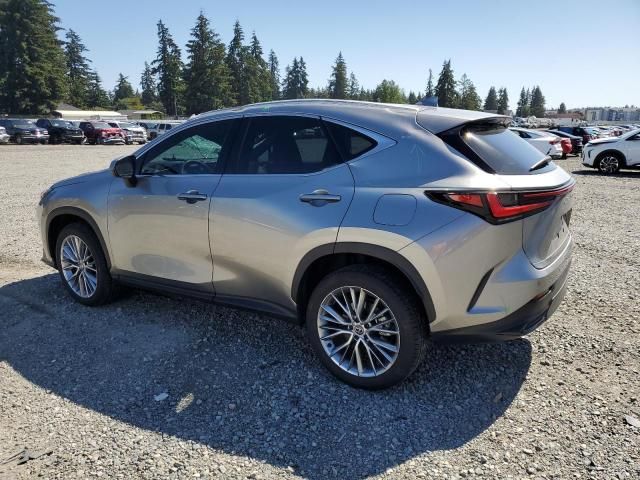 2024 Lexus NX 350 Luxury