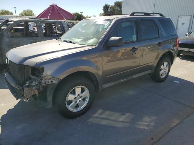 2010 Ford Escape XLT