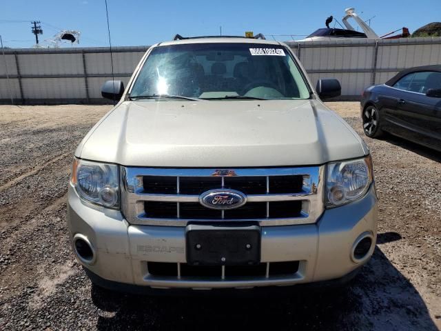 2011 Ford Escape XLS