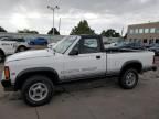 1989 Dodge Dakota Sport