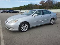 Lexus salvage cars for sale: 2010 Lexus ES 350