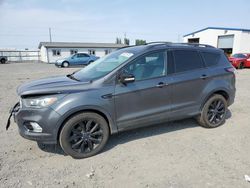 Ford Escape salvage cars for sale: 2017 Ford Escape Titanium