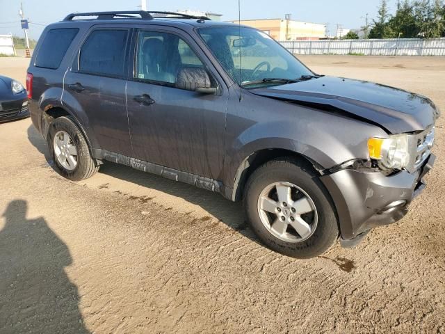 2012 Ford Escape XLT