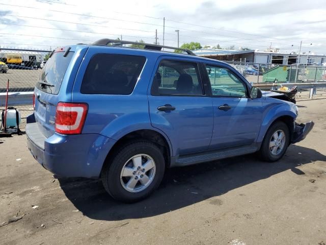 2009 Ford Escape XLT