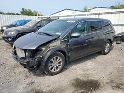 Honda salvage cars for sale: 2016 Honda Odyssey SE