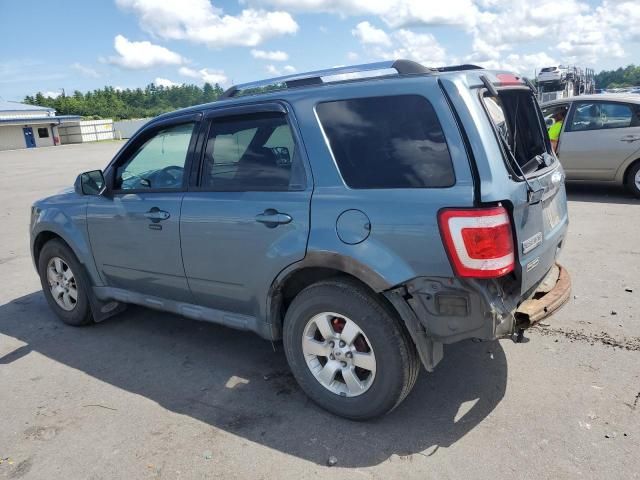 2010 Ford Escape Limited