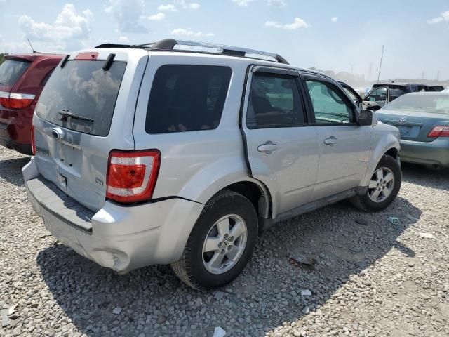 2010 Ford Escape Limited