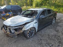 Salvage cars for sale at auction: 2014 KIA Optima SX