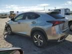 2019 Lexus NX 300H