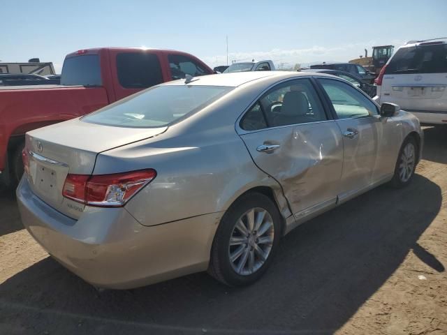 2010 Lexus ES 350