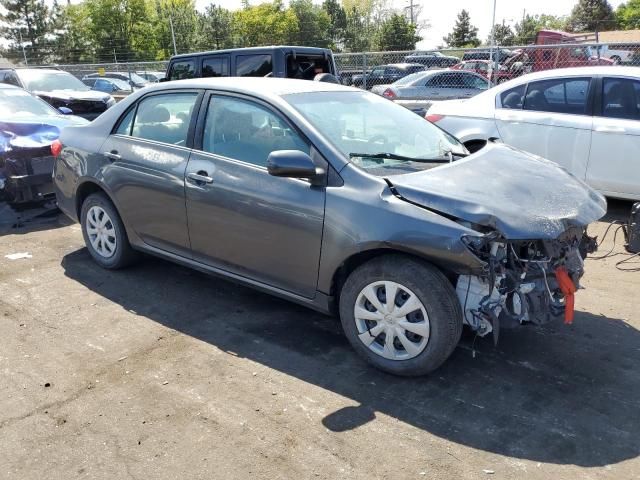 2011 Toyota Corolla Base